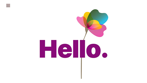 Experienced web designer Sunshine Coast