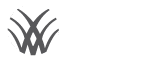 Stewarts Grain web design by Acura Multimedia