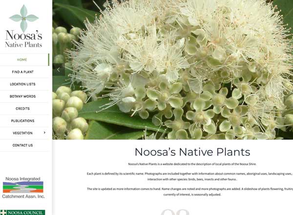 Noosa Native Plants